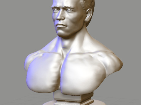 Arnold Schwarzenegger Model Cetak 3D