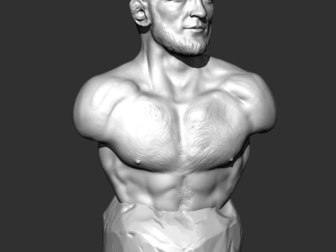 哈比布&middot;努尔马戈梅多夫 3D 打印模型