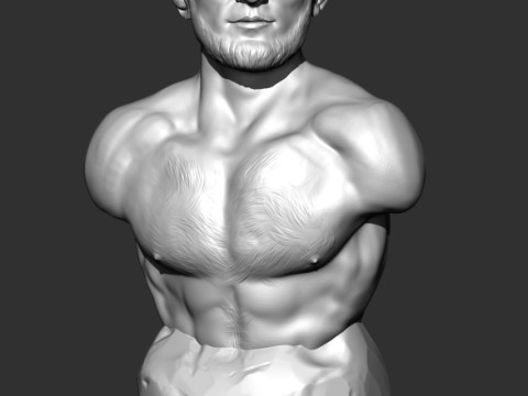Khabib Nurmagomedov 3D Print Model