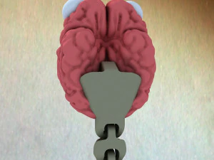 Brain worm 3D Model