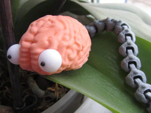 Brain worm 3D Model