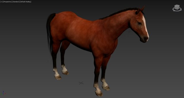 HORSE Modelo 3D .c4d .max .obj .3ds .fbx .stl .blend 