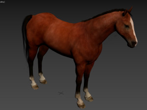 HORSE 3D Model