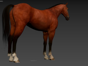 HORSE Modelo 3D