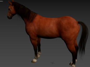 HORSE Modelo 3D