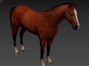 HORSE Modelo 3D