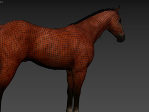 HORSE Modelo 3D