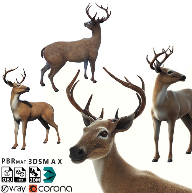Deer 3D 模型 .c4d .max .obj .3ds .fbx .stl .blend
