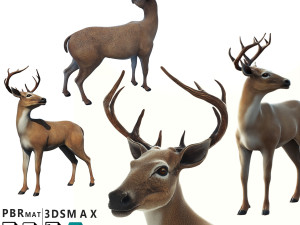 Deer 3D Model