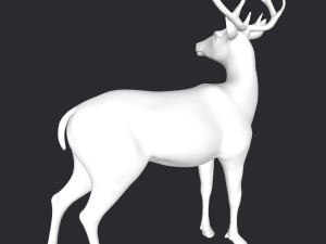 Deer 3D 模型