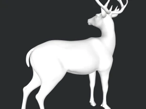 Cervo Modello 3D
