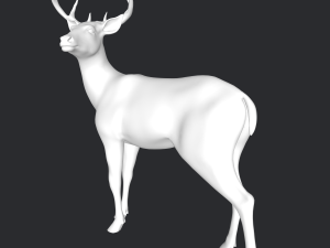 Deer 3D 模型