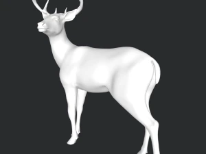 Cervo Modello 3D