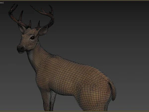 Cervo Modello 3D