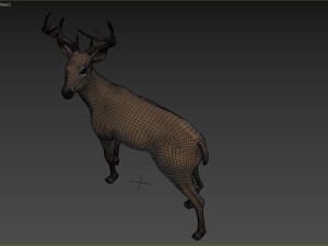 Deer 3D 模型