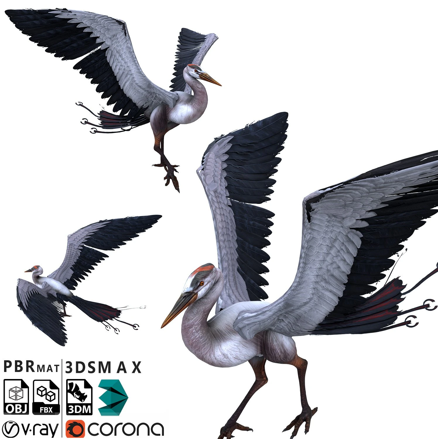Bird 3D Model .c4d .max .obj .3ds .fbx .stl .blend