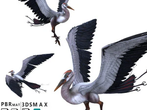 Bird 3D Model