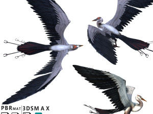 Bird Modello 3D