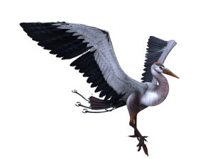 Bird Modello 3D