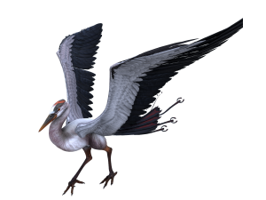 Bird Modello 3D