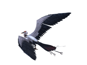 Bird Modello 3D