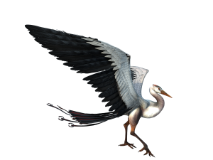 Bird Modello 3D