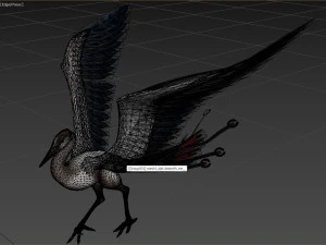 Bird 3D Model
