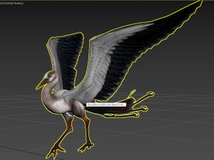 Bird Modello 3D