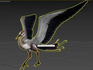 Bird 3D Model