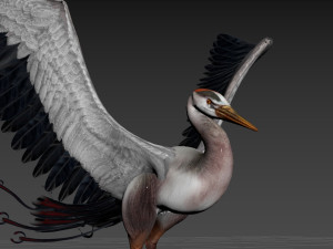 Bird Modello 3D