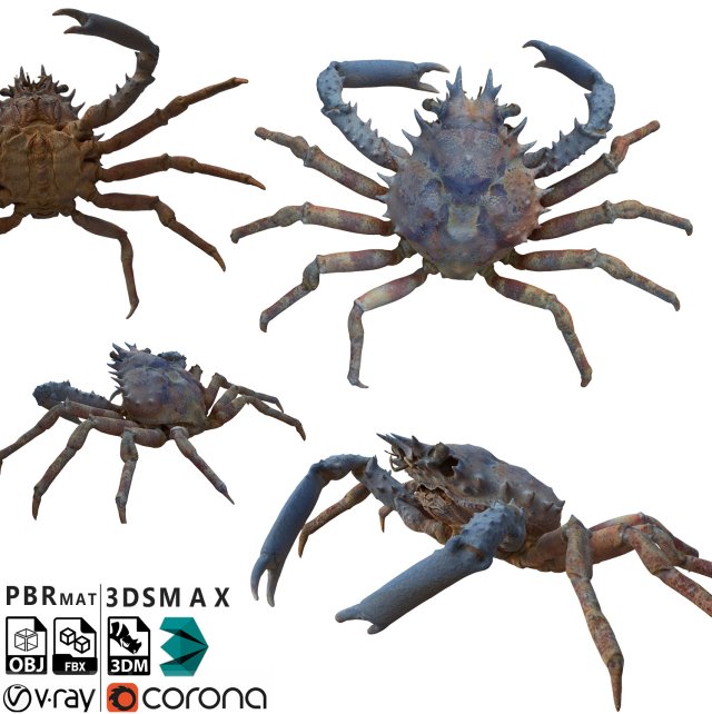Crab Modèle 3D .c4d .max .obj .3ds .fbx .stl .blend 