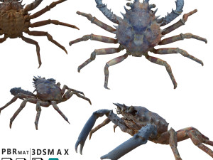 Crab 3D-Modell