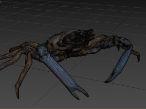 Crab Modèle 3D
