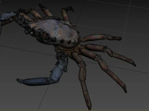 螃蟹 3D 模型