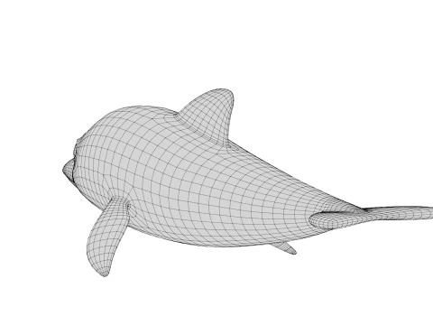 Rigged Cartoon Dolphin 3D Model