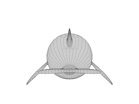 Rigged Cartoon Dolphin 3D Model
