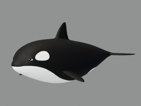 Rigged Cartoon Killer Whale Modèle 3D