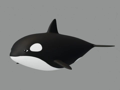 Rigged Cartoon Killer Whale 3D Model