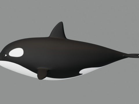 Rigged Cartoon Killer Whale Modèle 3D