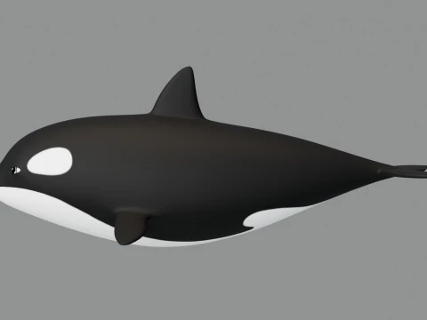 Rigged Cartoon Killer Whale 3D Model