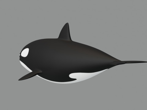 Rigged Cartoon Killer Whale Modèle 3D