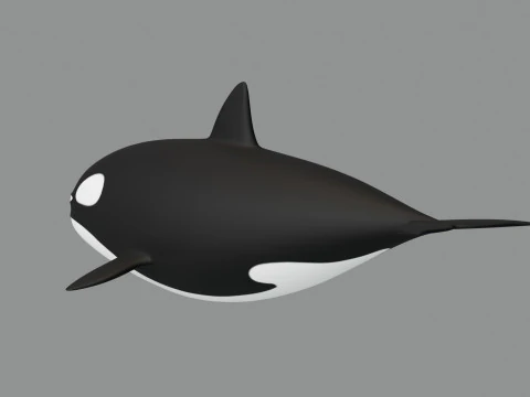 Rigged Cartoon Killer Whale 3D Model
