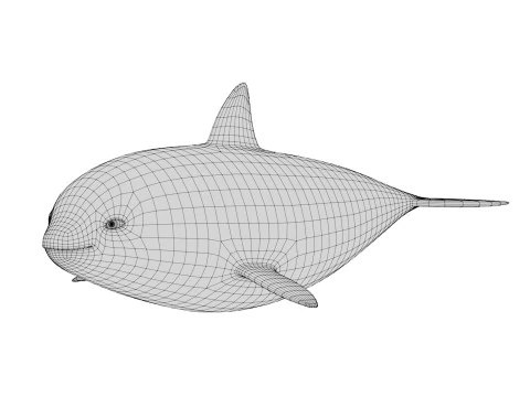 Rigged Cartoon Killer Whale 3D Model