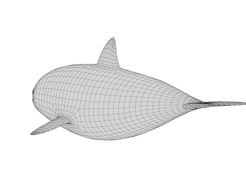 Rigged Cartoon Killer Whale Modèle 3D