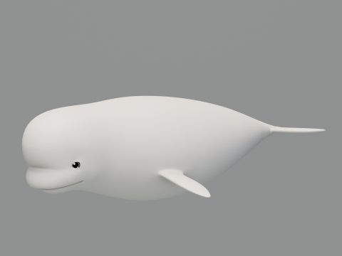 Rigged Cartoon Beluga Whale 3D 模型