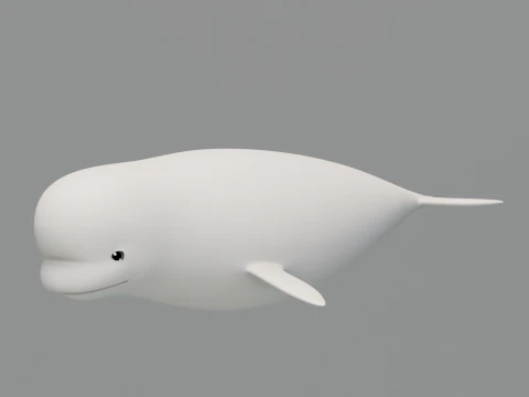 Rigged Cartoon Beluga Whale 3D Model