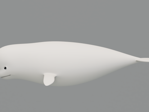 Rigged Cartoon Beluga Whale 3D 模型