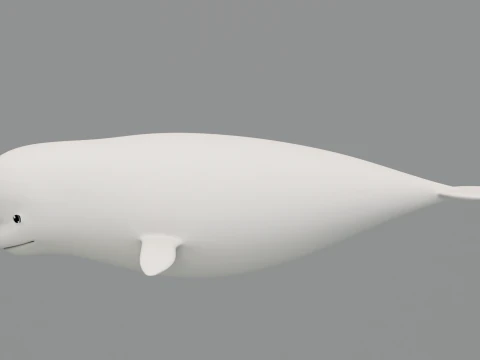 Rigged Cartoon Beluga Whale 3D Model