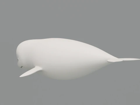 Rigged Cartoon Beluga Whale 3D Model