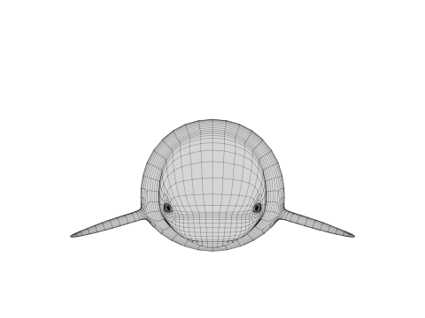 Rigged Cartoon Beluga Whale 3D 模型